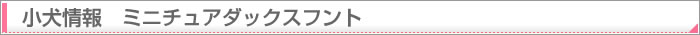 �q����� �i�~�j�`���A�_�b�N�X�t���g�j 