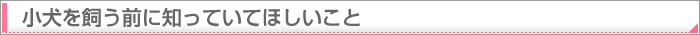 小犬を飼う前に知っていてほしいこと